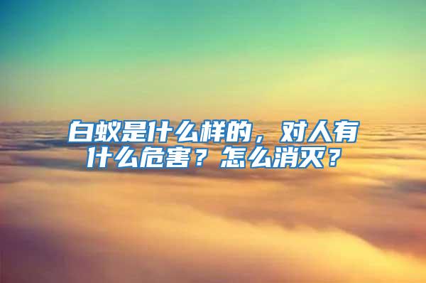 白蟻是什么樣的，對人有什么危害？怎么消滅？