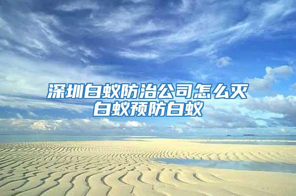 深圳白蟻防治公司怎么滅白蟻預防白蟻