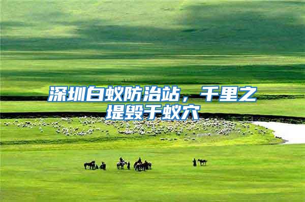 深圳白蟻防治站,千里之堤毀于蟻穴