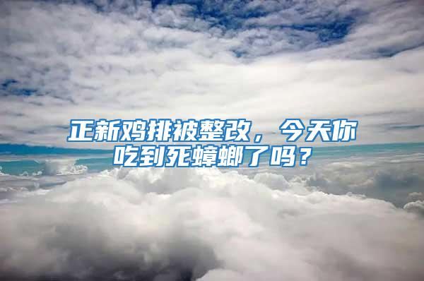 正新雞排被整改,今天你吃到死蟑螂了嗎?