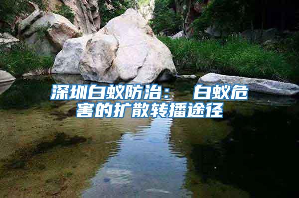深圳白蟻防治: 白蟻危害的擴(kuò)散轉(zhuǎn)播途徑