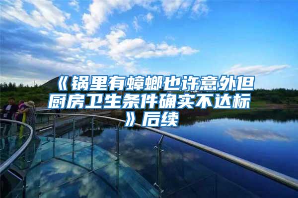 《鍋里有蟑螂也許意外但廚房衛(wèi)生條件確實(shí)不達(dá)標(biāo)》后續(xù)