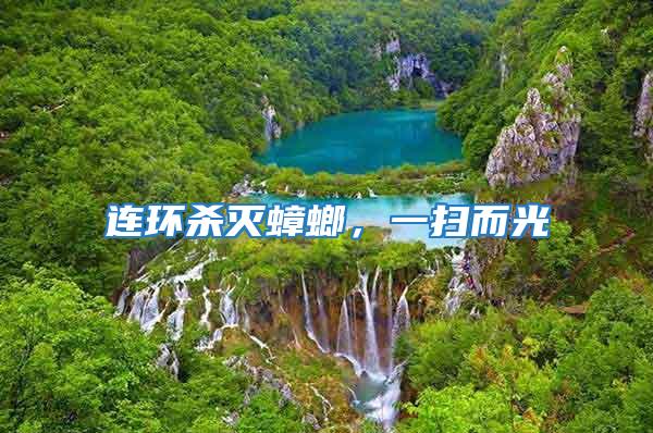 連環殺滅蟑螂，一掃而光