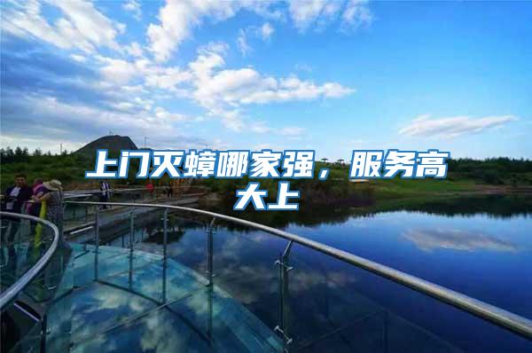 上門滅蟑哪家強,服務高大上