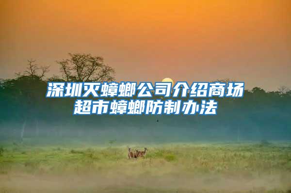 深圳滅蟑螂公司介紹商場超市蟑螂防制辦法