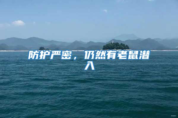 防護嚴密,仍然有老鼠潛入