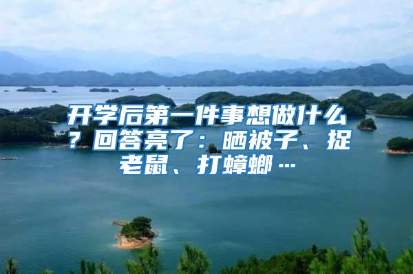 開學后第一件事想做什么？回答亮了：曬被子、捉老鼠、打蟑螂…