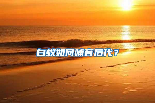 白蟻如何哺育后代？