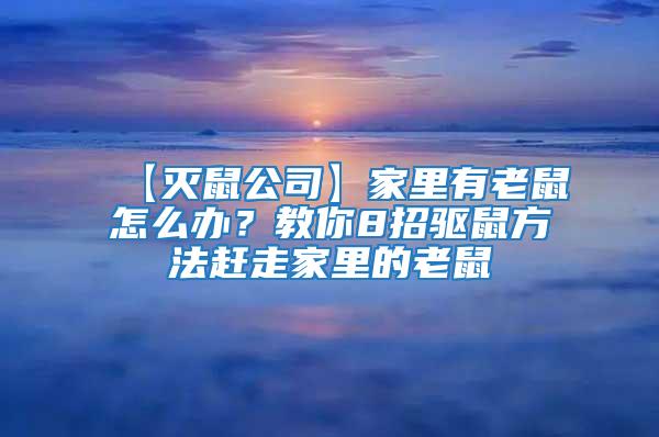 【滅鼠公司】家里有老鼠怎么辦？教你8招驅鼠方法趕走家里的老鼠