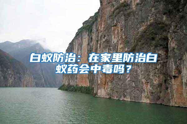 白蟻防治：在家里防治白蟻藥會中毒嗎？