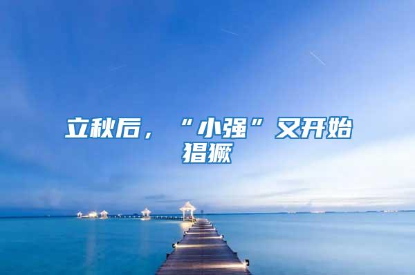 立秋后，“小強”又開始猖獗