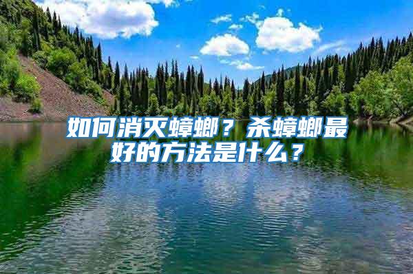 如何消滅蟑螂？殺蟑螂最好的方法是什么？