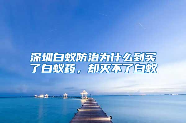 深圳白蟻防治為什么到買了白蟻藥,卻滅不了白蟻