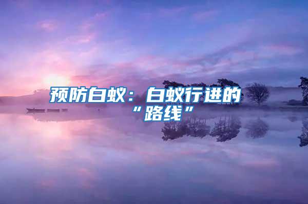 預(yù)防白蟻：白蟻行進(jìn)的“路線”