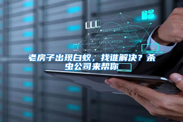 老房子出現白蟻，找誰解決？殺蟲公司來幫你