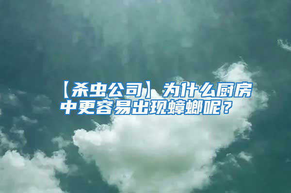 【殺蟲公司】為什么廚房中更容易出現蟑螂呢？