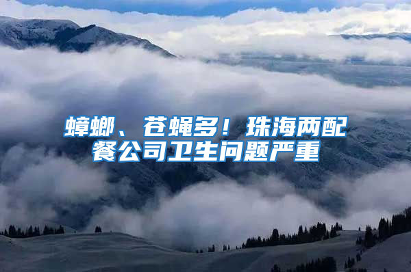 蟑螂、蒼蠅多！珠海兩配餐公司衛生問題嚴重