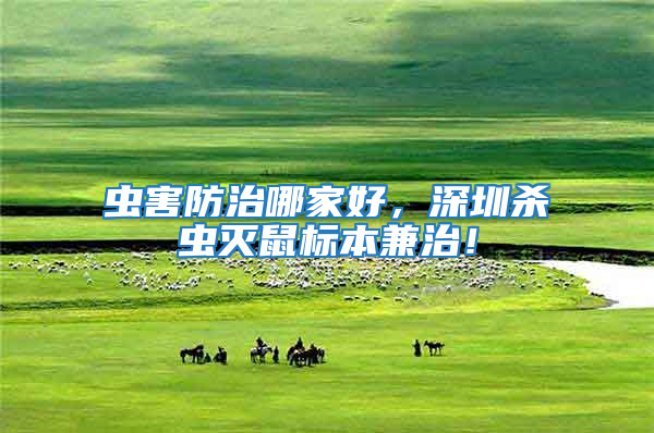 蟲害防治哪家好，深圳殺蟲滅鼠標本兼治！