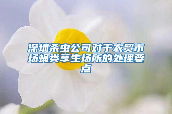 深圳殺蟲公司對于農貿市場蠅類孳生場所的處理要點