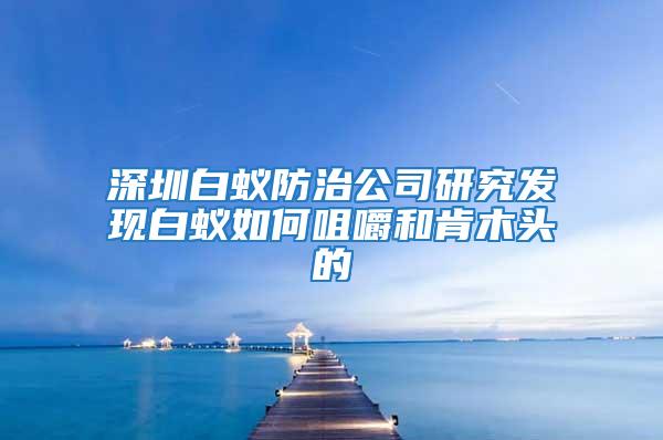 深圳白蟻防治公司研究發現白蟻如何咀嚼和肯木頭的