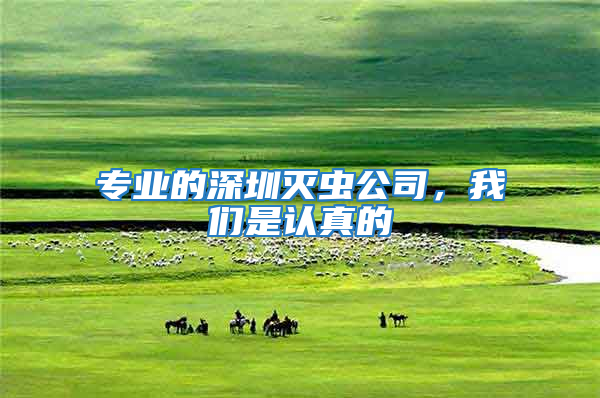 專業的深圳滅蟲公司，我們是認真的