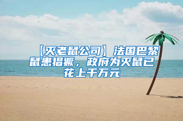 【滅老鼠公司】法國巴黎鼠患猖獗，政府為滅鼠已花上千萬元