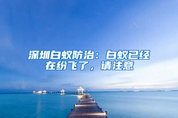 深圳白蟻防治:白蟻已經在紛飛了,請注意