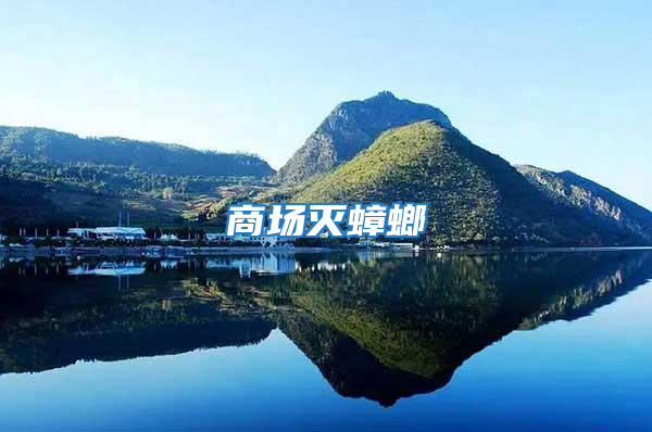 商場(chǎng)滅蟑螂