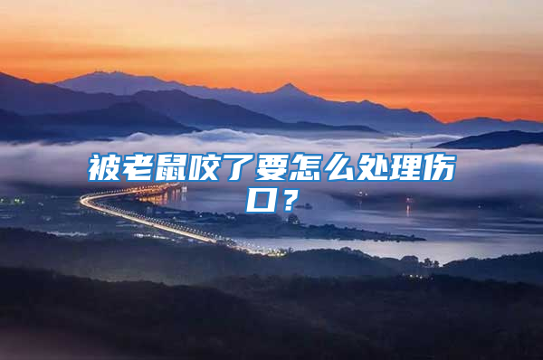 被老鼠咬了要怎么處理傷口?