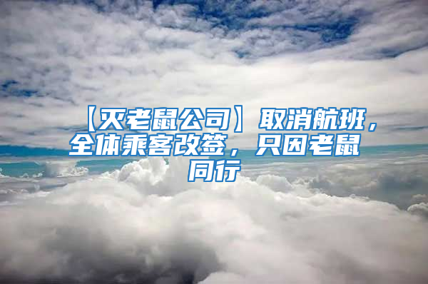 【滅老鼠公司】取消航班，全體乘客改簽，只因老鼠同行