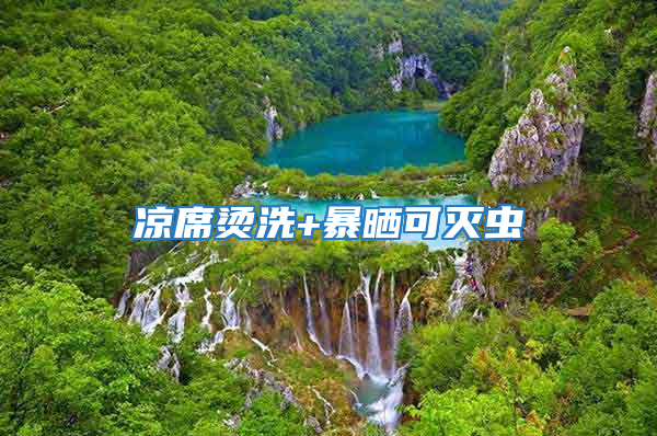 涼席燙洗+暴曬可滅蟲(chóng)