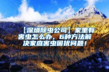 【深圳除蟲公司】家里有害蟲怎么辦，6種方法解決家庭害蟲困擾問題！